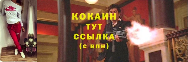 твердый Магадан