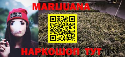 шишки Гатчина