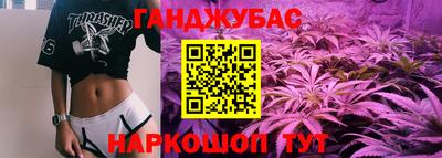 шишки Гатчина