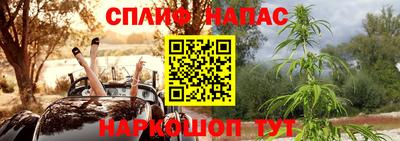 прущие крисы Бийск