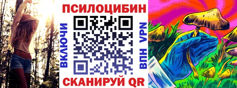 цены наркотик  Майкоп  Псилоцибиновые грибы прущие грибы 