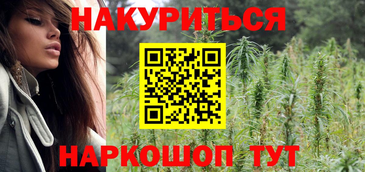 Каннабис Ganja Майкоп